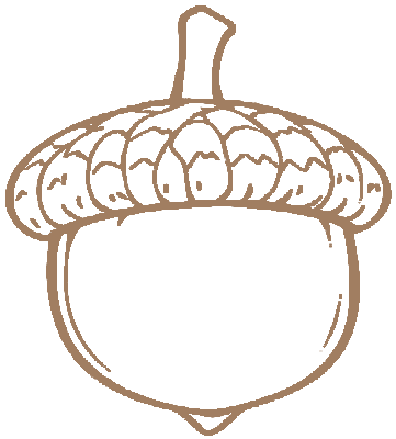 Acorn icon symbolizing growth at Mini Morgans Nursery