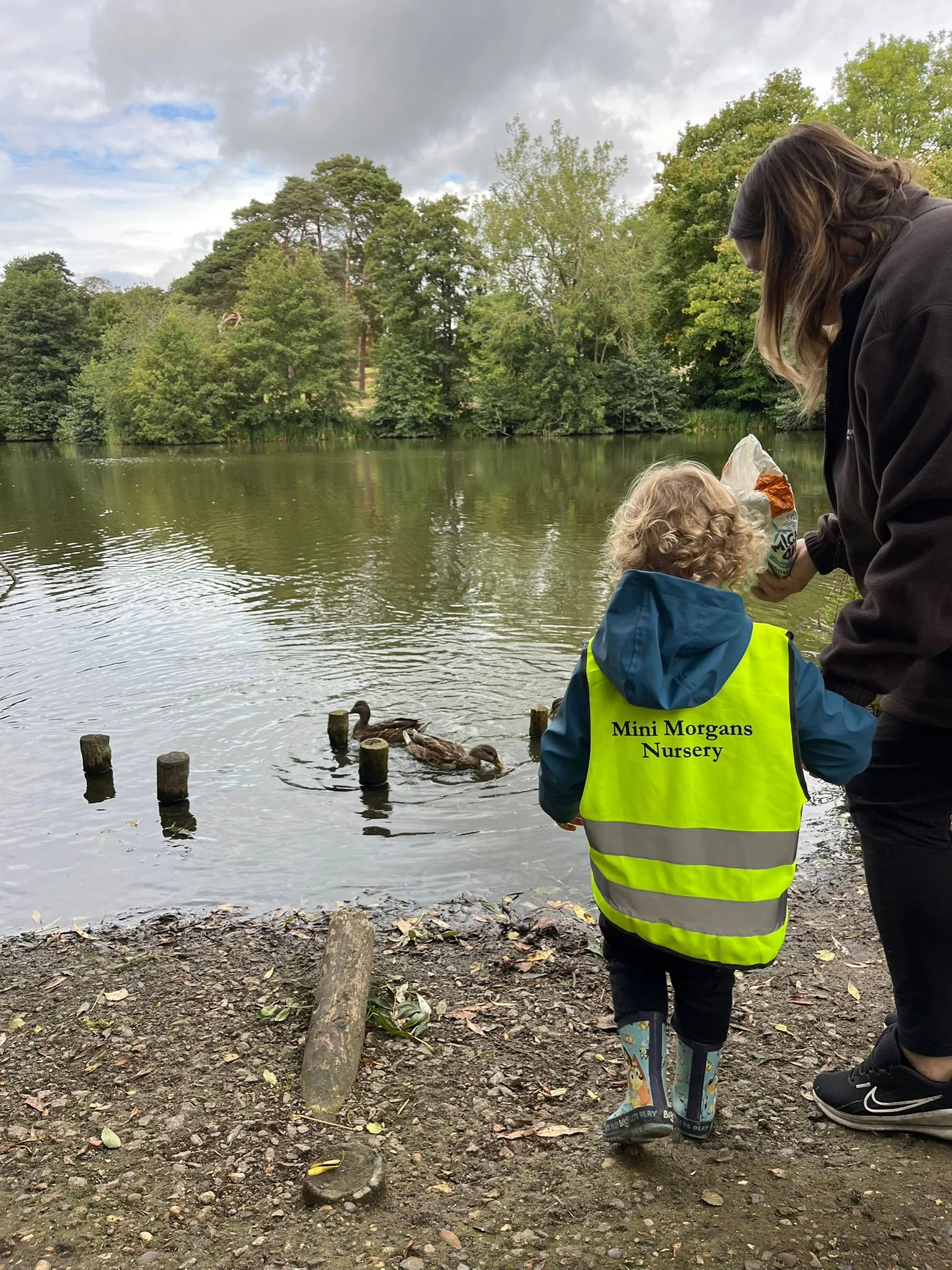 Image of a child feedintg ducks at a lake.