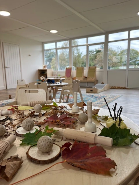 Image of a mini morgans classroom