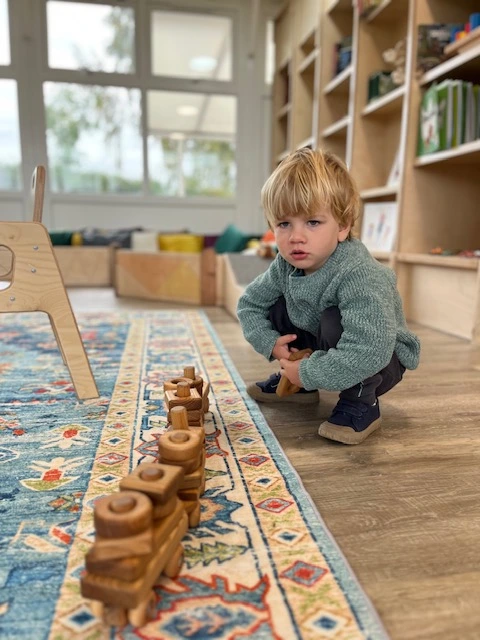 Image of a mini morgans classroom