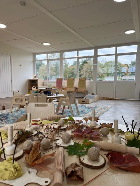 Image of a mini morgans classroom