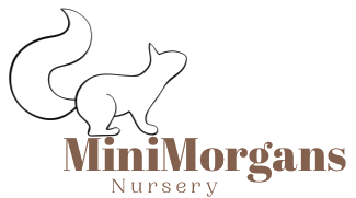 Mini Morgans Nursery logo in Hertford